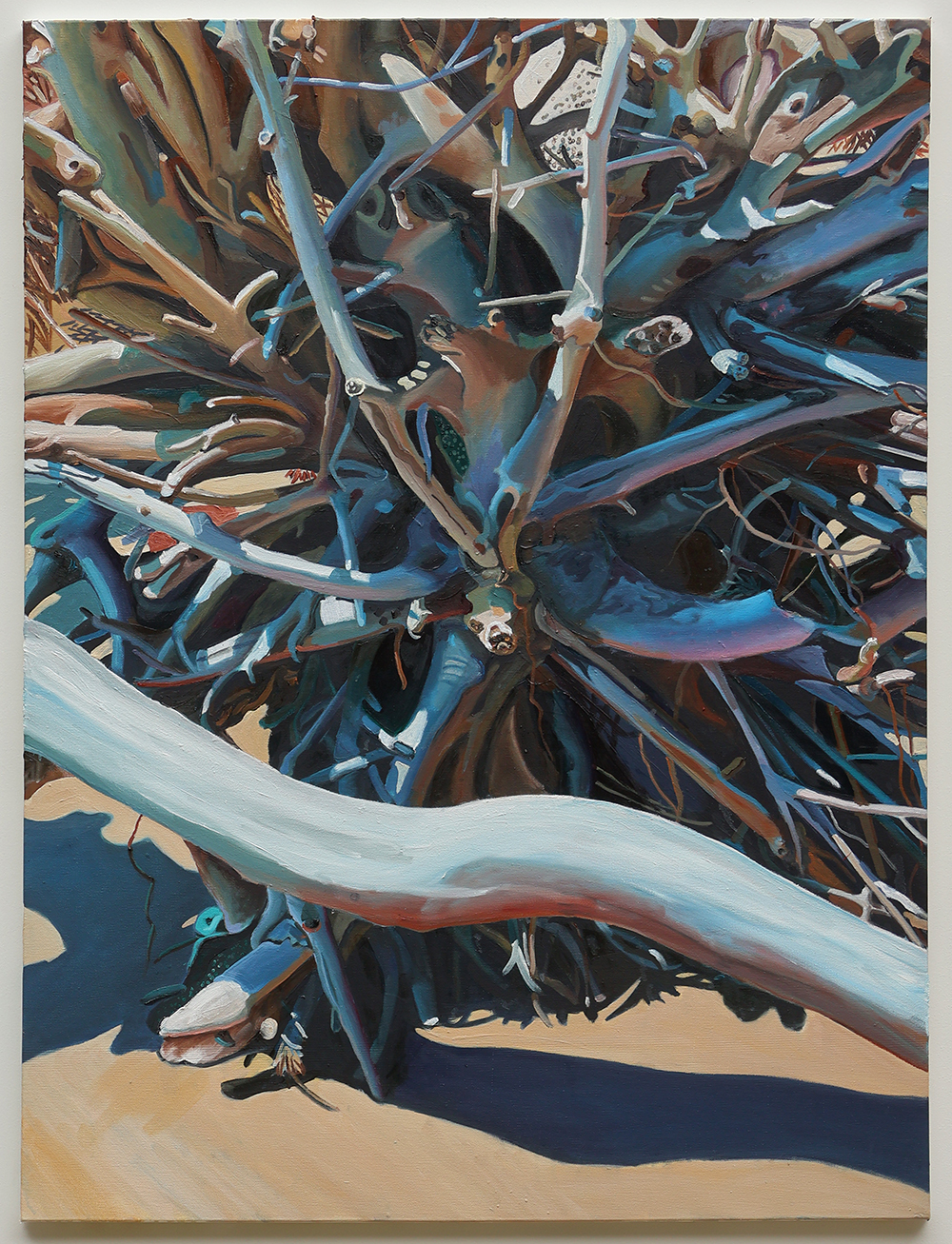 Root